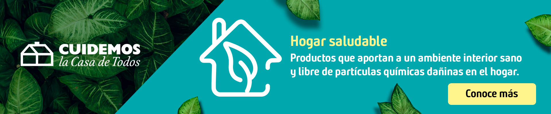  Cuidemos la casa de todos