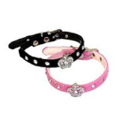 Accesorios