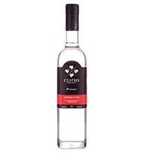 “Pisco"