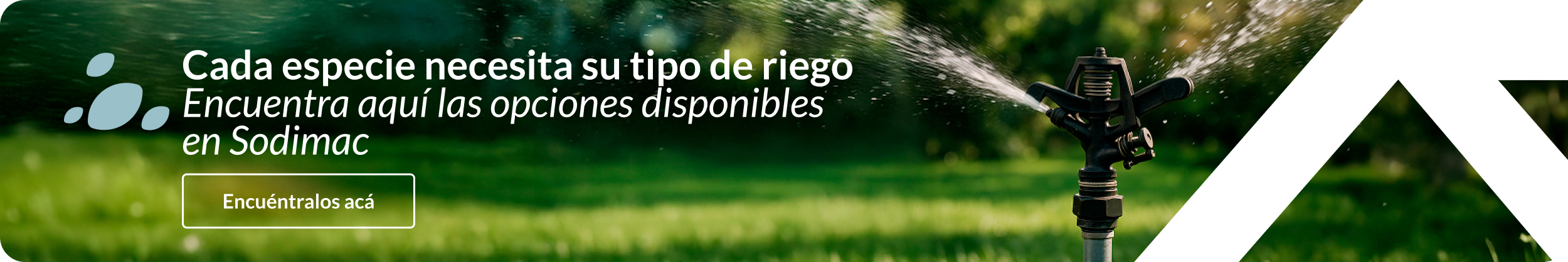 Césped verde con aspersor de riego en funcionamiento