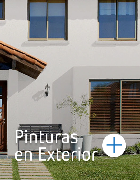 Ir a pinturas de exterior del especial Manito de Gato