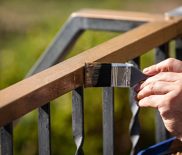 Ir a la sección de pinturas especiales del especial Renovación 2026