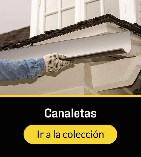 Ir a la sección de Canaletas