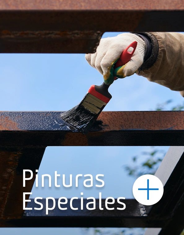 Ir a pinturas especiales del especial Manito de Gato