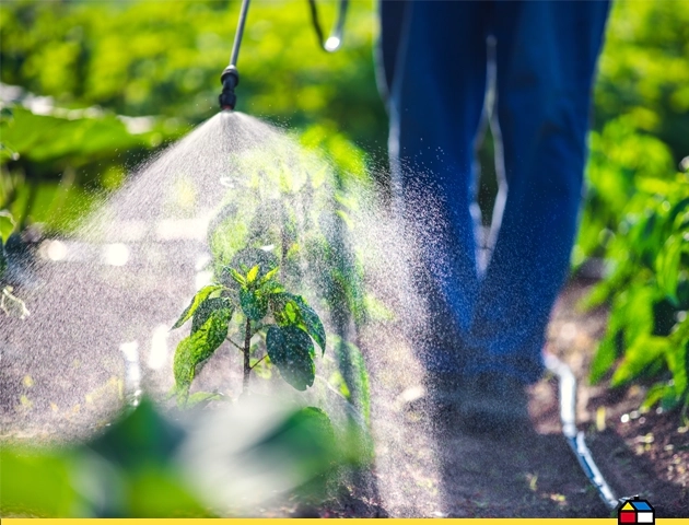 Formatos de fertilizantes