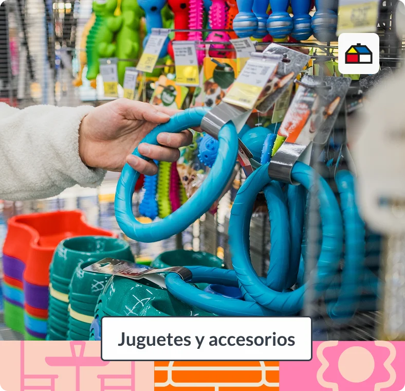 Ir a juguetes y accesorios del Especial Aire Libre