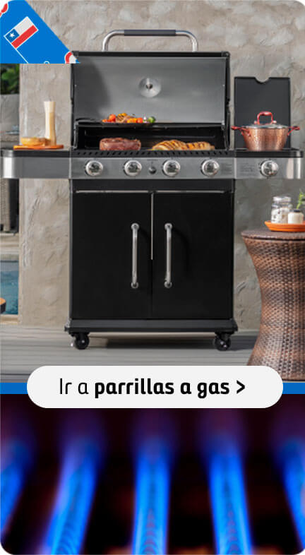 Ir a revisar toda la categoría de parrillas a gas para asado