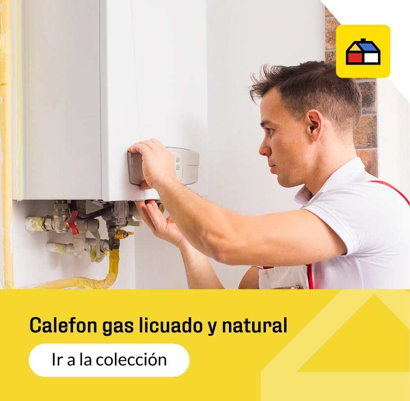 : Ir a la sección de calefont gas licuado y nartural