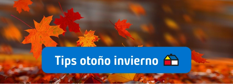 Revisar los tips otoño invierno de la sección asesoría de proyectos