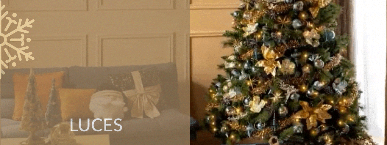 Luces