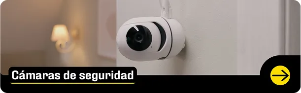 cat destacada 2