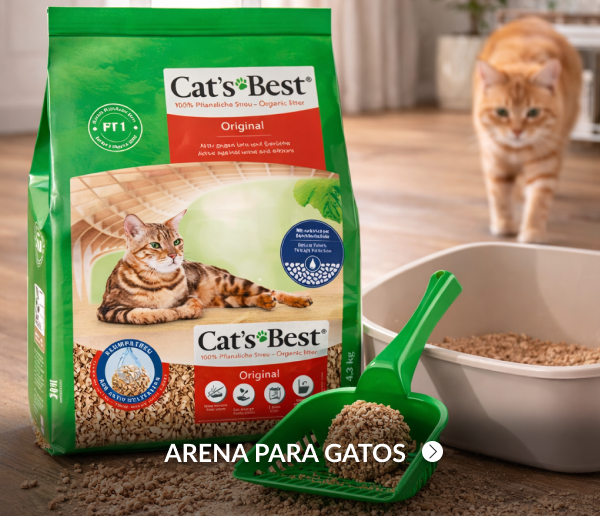 Arena para gatos