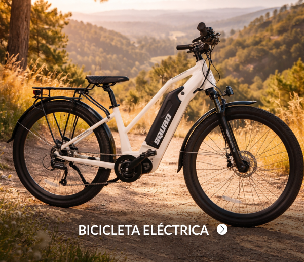 Bicicleta eléctrica