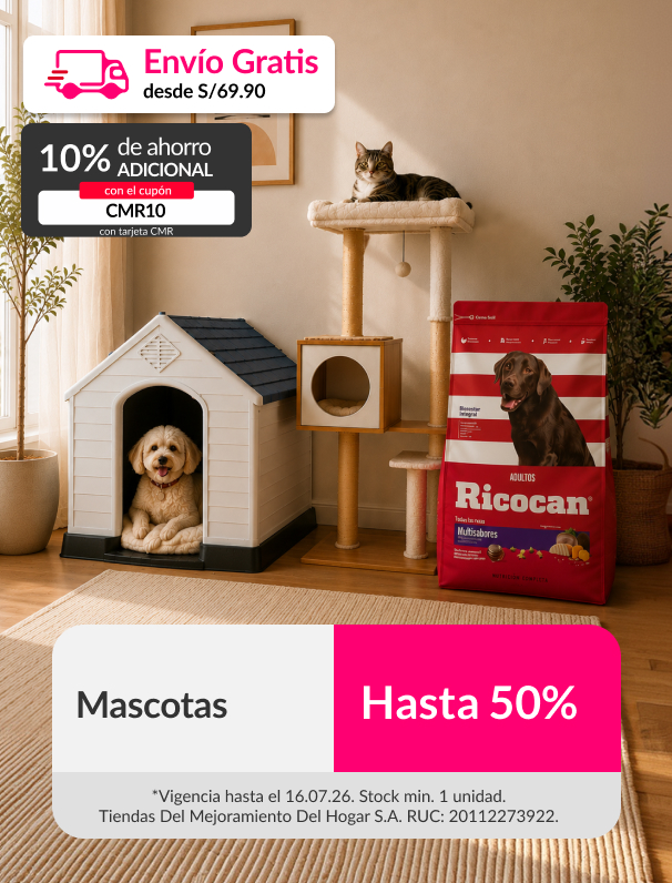 Organización