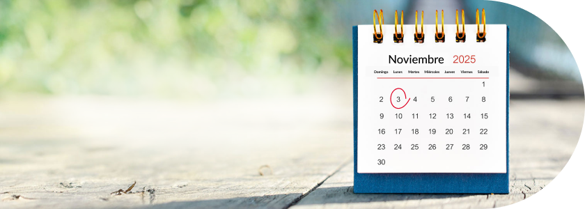 Calendario Cyber Wow 2025