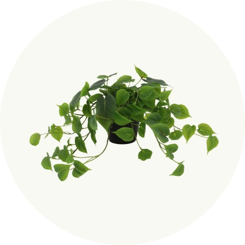Plantas artificiales