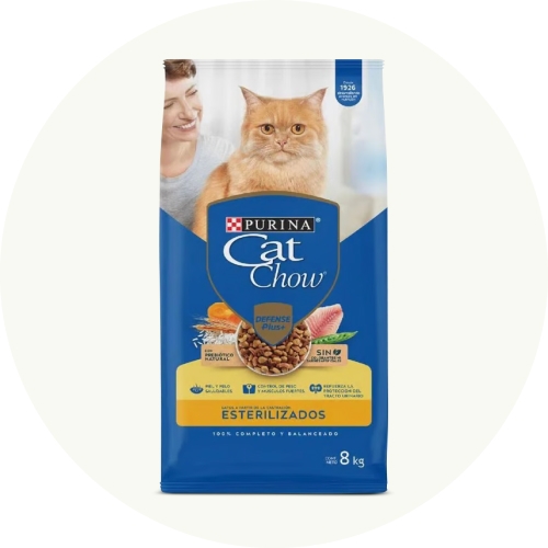 Comida para gatos