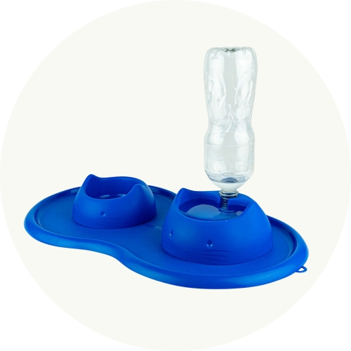 Otros accesorios para gatos