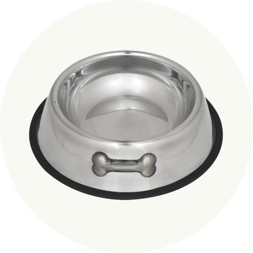 Platos, dispensadores de comida y agua para perros