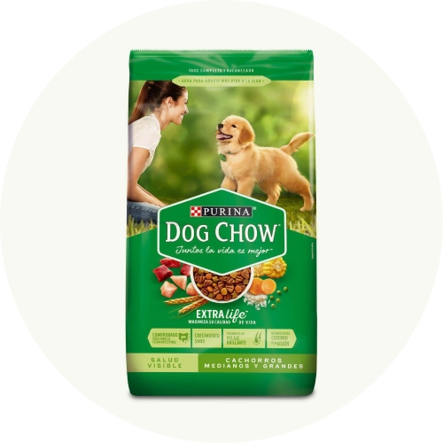 Comida para Perros
