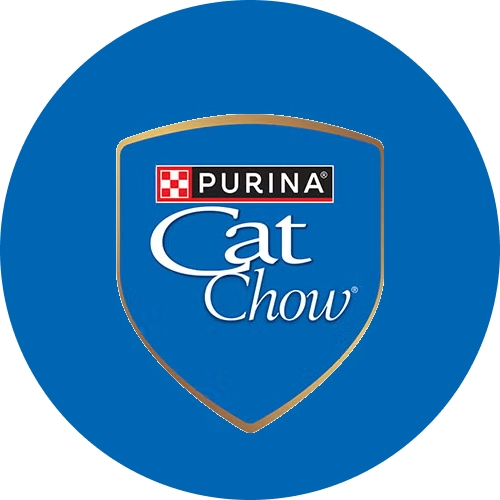 Catchow