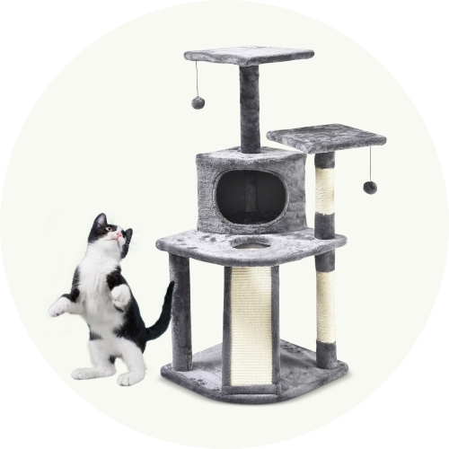 Rascadores y gimnasios para gatos