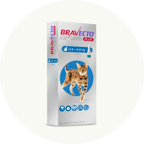 Antiparasitarios para gatos