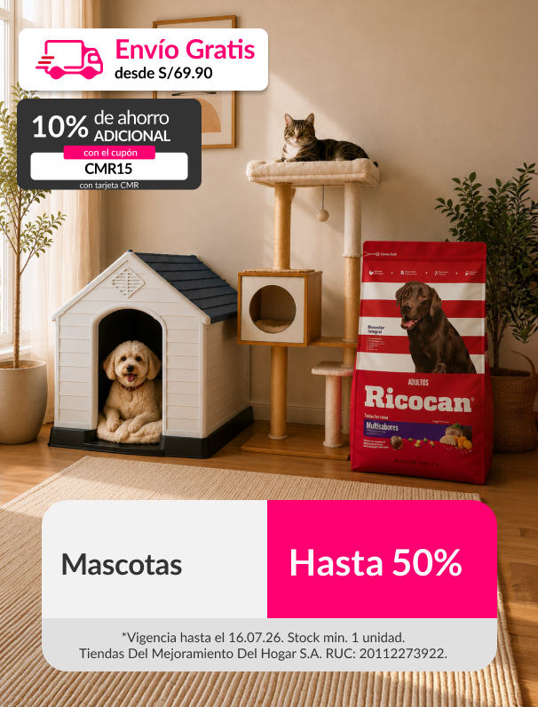 Organización