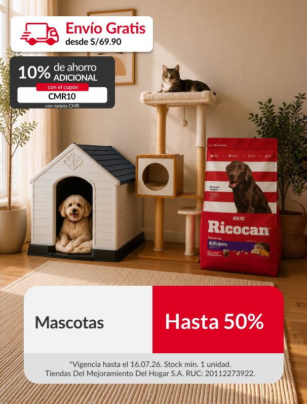 Organización