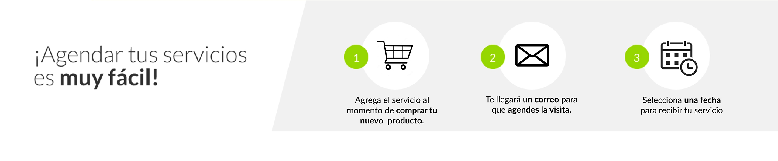 lp-servicios-showcase.jpg
