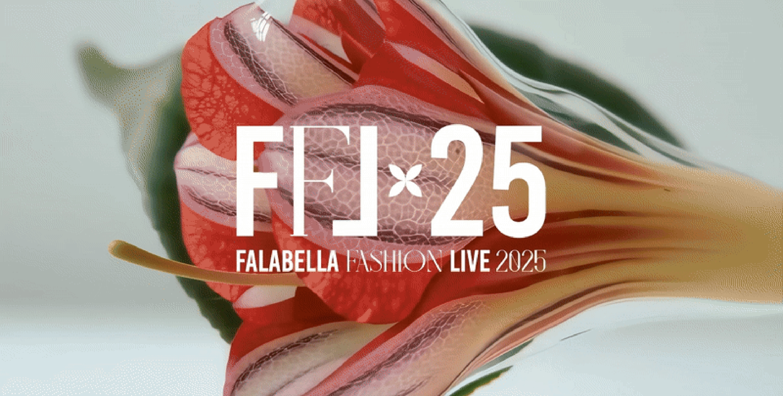 fashion live