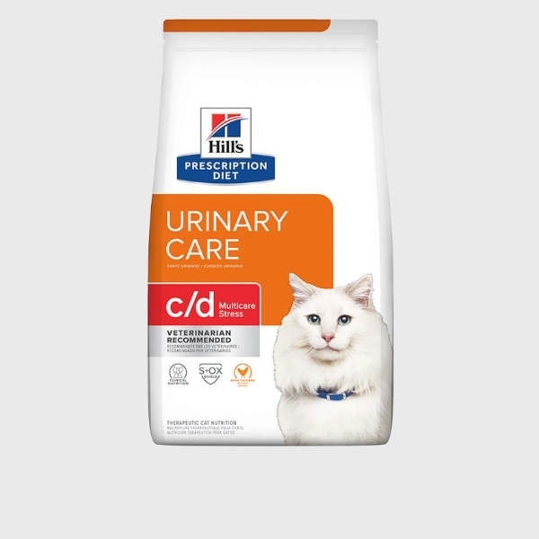 Gato