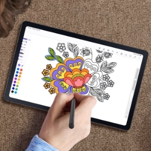 Notebooks y Tablets