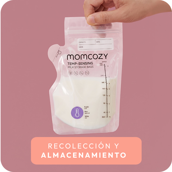 Recolección