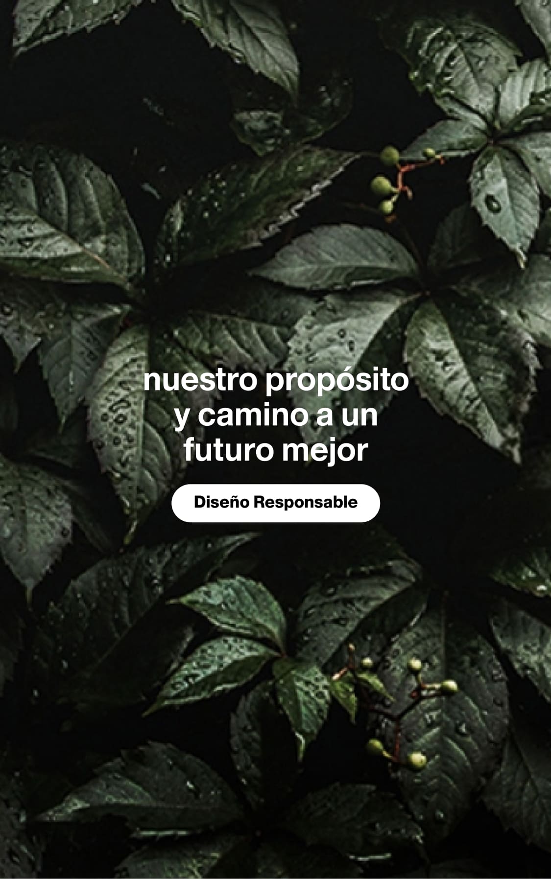 Diseño responsable