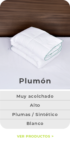 Plumón