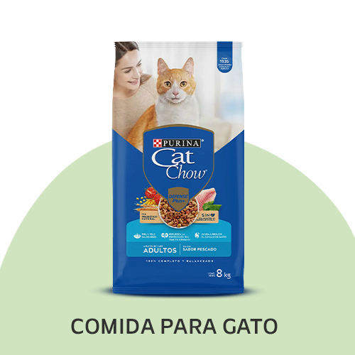 comida para gatos