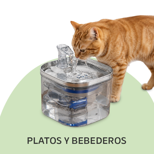 platos