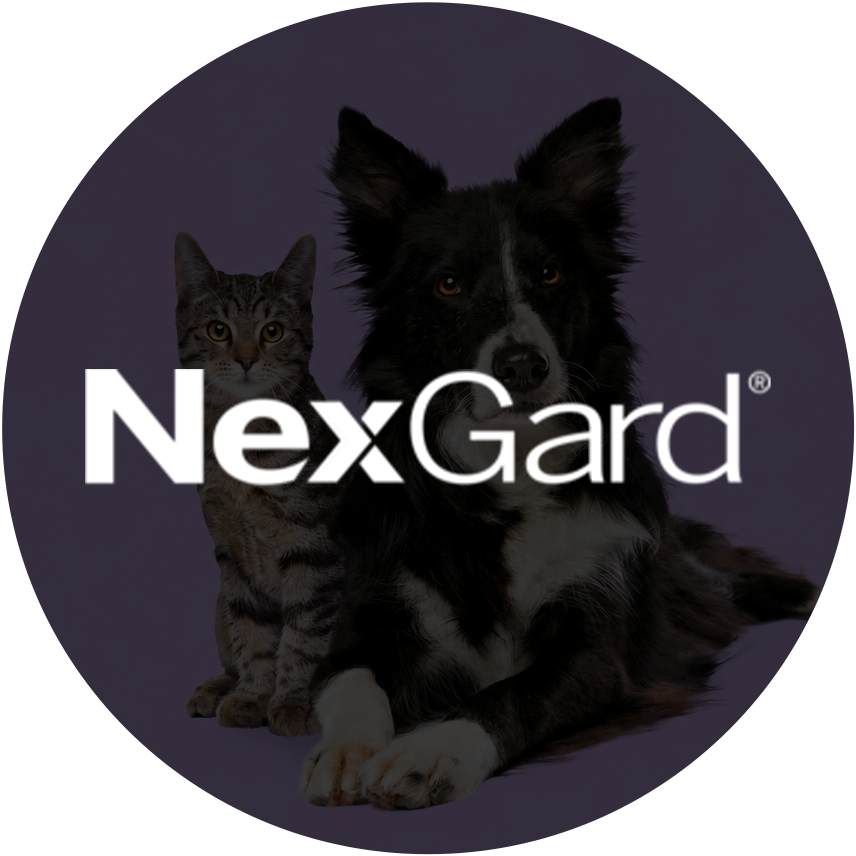 Nexgard