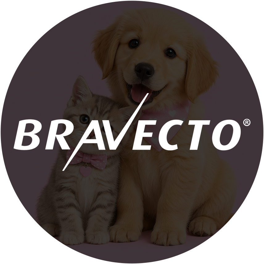Bravecto