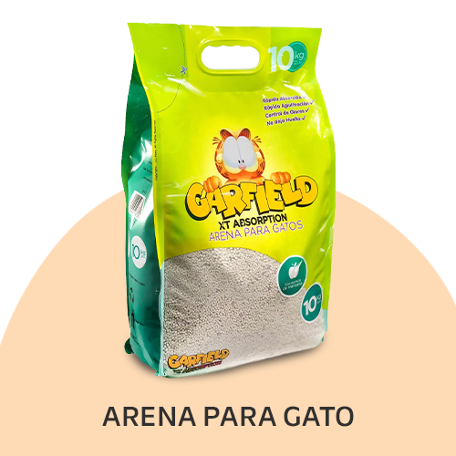 arena