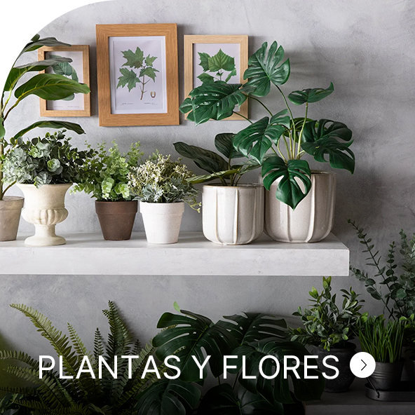 plantas