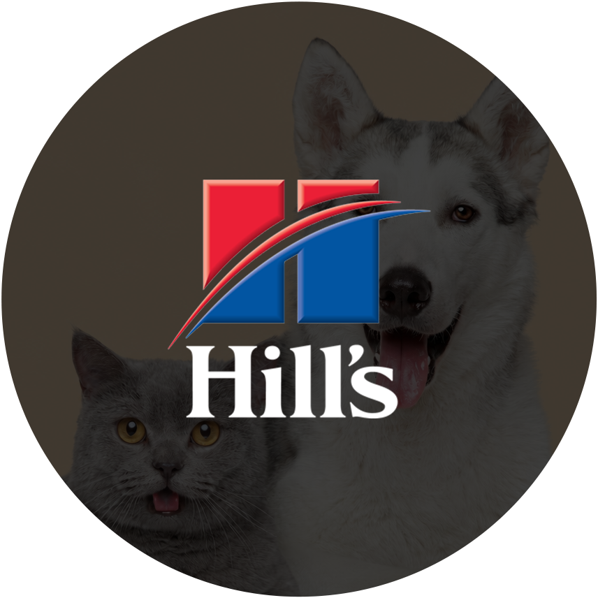 Hills