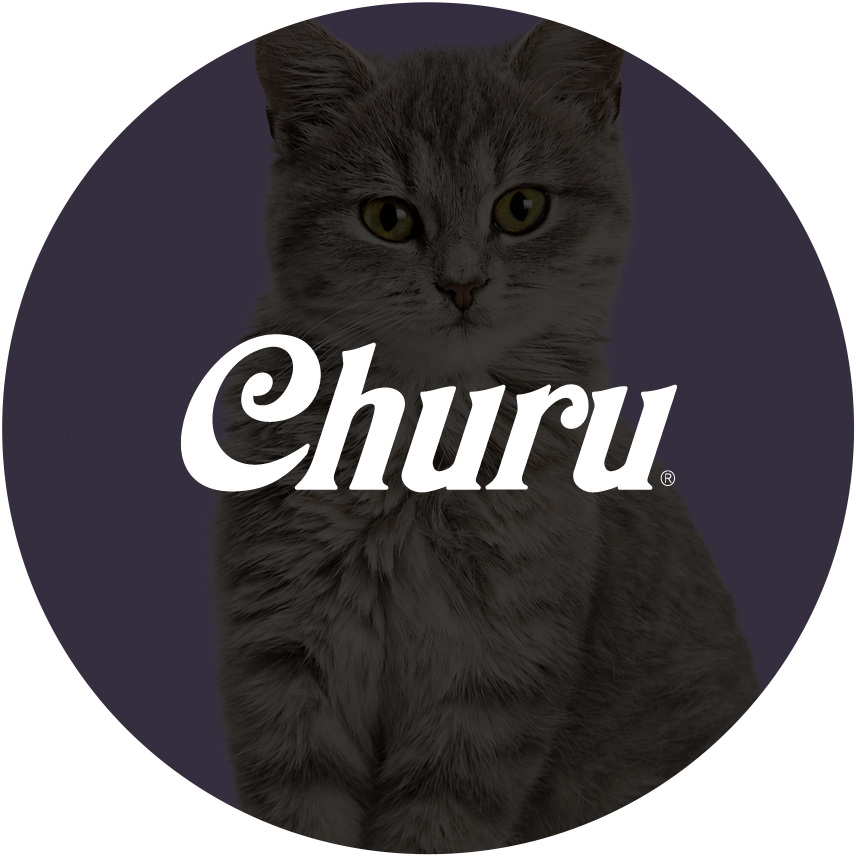 Churu
