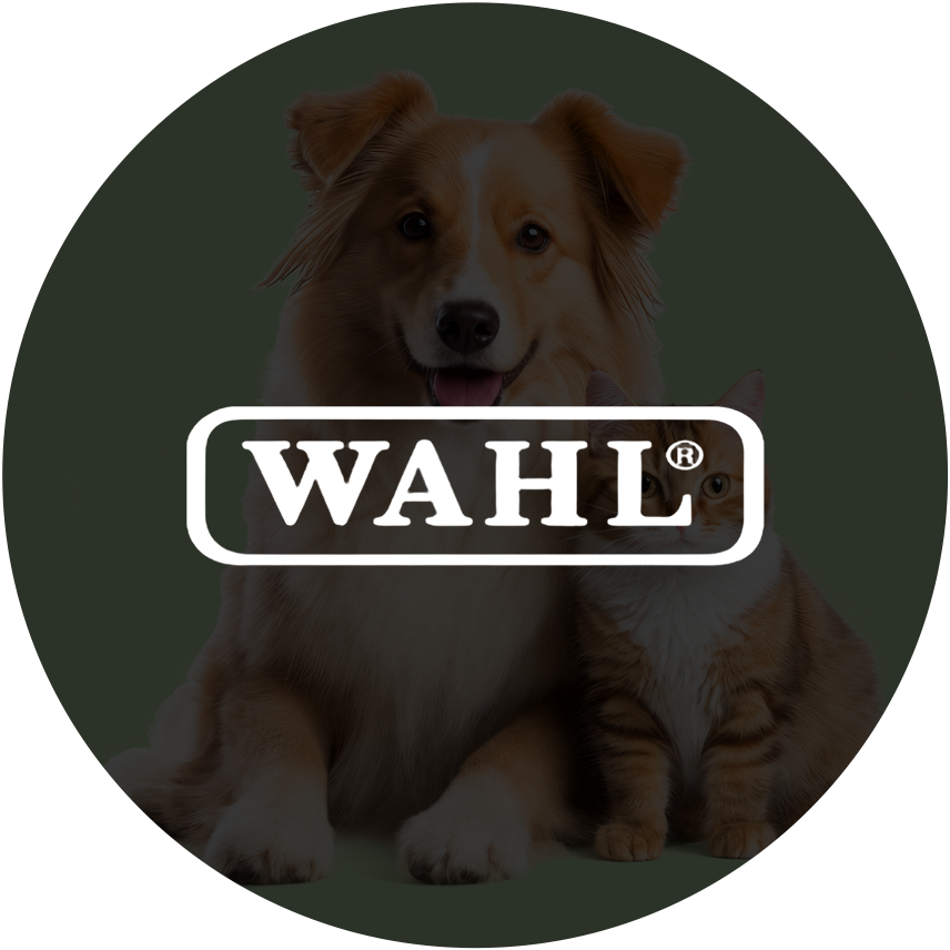 Wahl