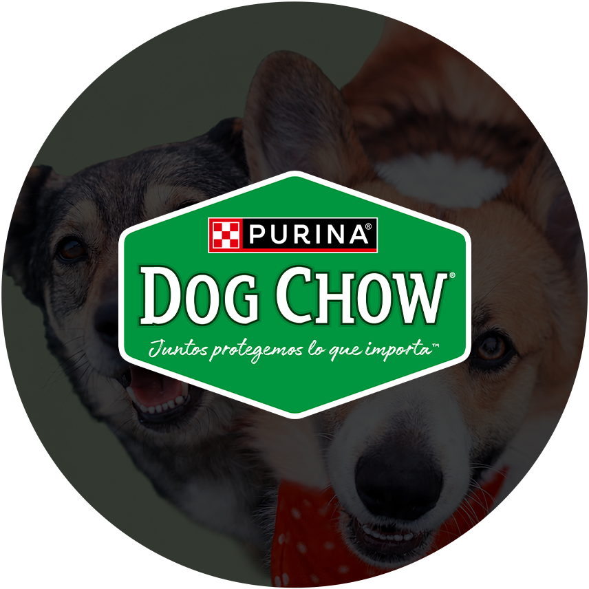 Dog Chow