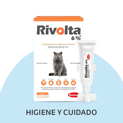 Higiene-y-cuidados-para-gatos