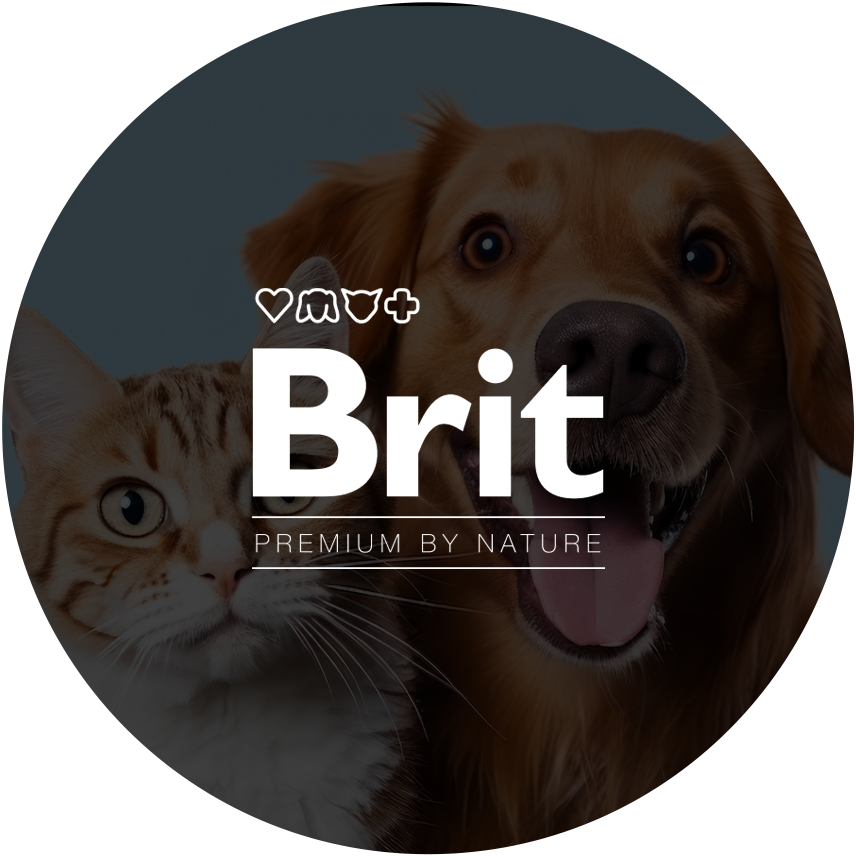 Brit