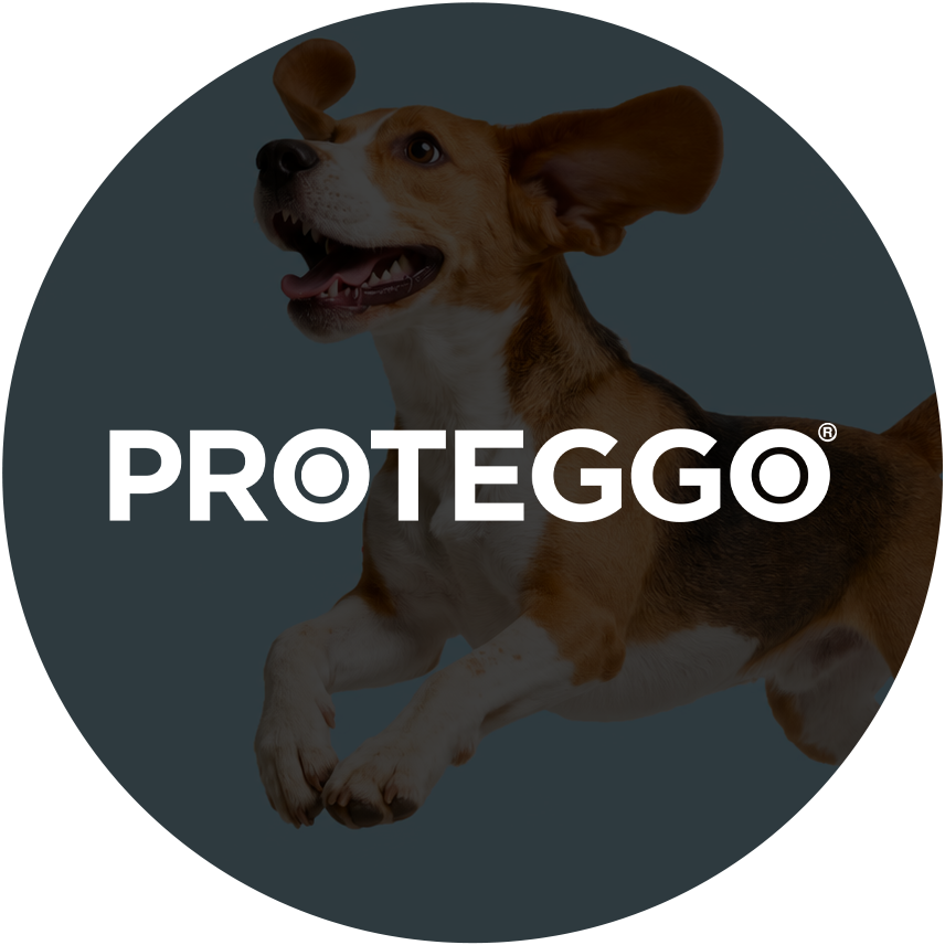 Proteggo