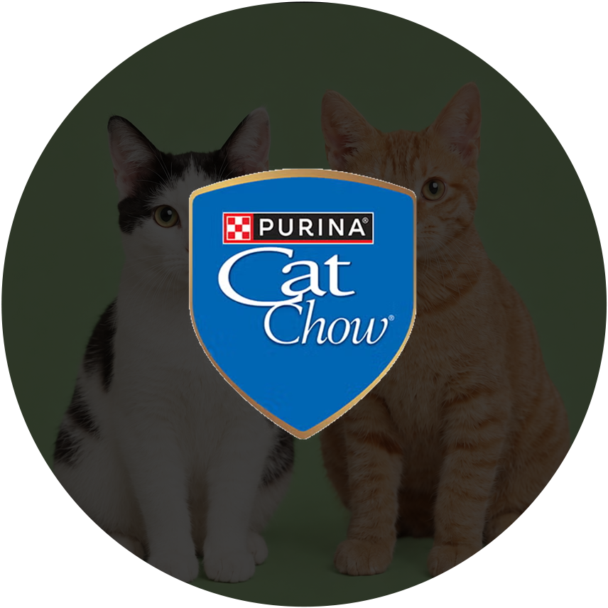 Cat Chow